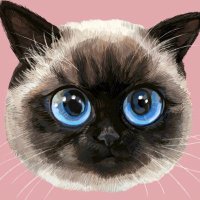うり (@uri_y_nft) 's Twitter Profile Photo