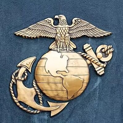 Former Combat Marine. Love my Wife, my Country, my Marine Corps, Conservative. Suffer fools badly. Back the Blue!  No DM'S Please. Blue Lives Matter!