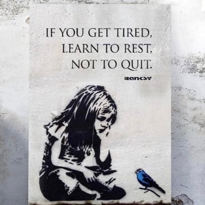 CharChar121619's profile picture. 🤪⚡️crazy cat lady 😻