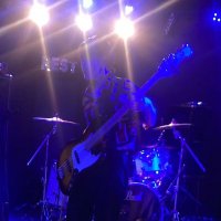 ハイネ犬 (@bass_wearhanten) 's Twitter Profile Photo