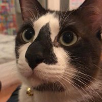 apoismymind (@_jjan1) 's Twitter Profile