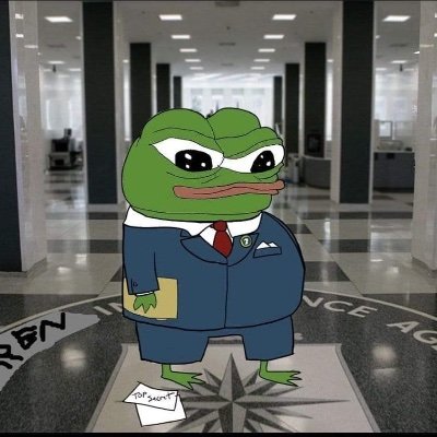 PeptidePepe Profile Picture