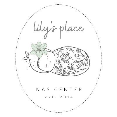 Lily's Place provides medical care to infants suffering from prenatal drug exposure, and offers non-judgmental support, education, and counseling to families.