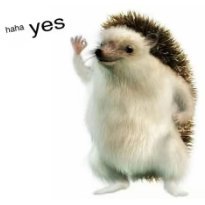 koji_model3's profile picture. 車とゲームと裏スケ時計好き。 米国株投資 現在テスラ株メイン 無言フォロー失礼いたします。 Model3 Performance Rx8 Apex Legends 機械式時計 #tsla #tesla #model3