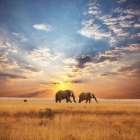 Safiri_Adventures (@safiri_explores) 's Twitter Profile