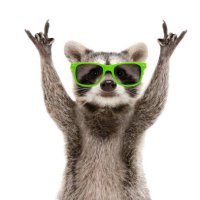 goofy ahh animals (@goofyahhanimals) 's Twitter Profile