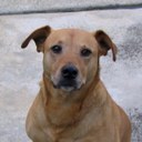 Lea Anne Jagger - @jaggermeister2 - Twitter