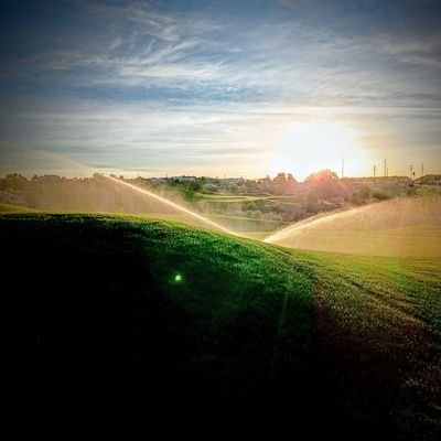 Turfhead looking for a new opportunity
tweets are my own