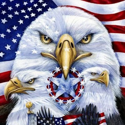 AmericasVoiceP's profile picture. America’s Voice Party is a new political party in the United States. We are neither Republican or Democrat but rather Independent. President-@NeotroniX83