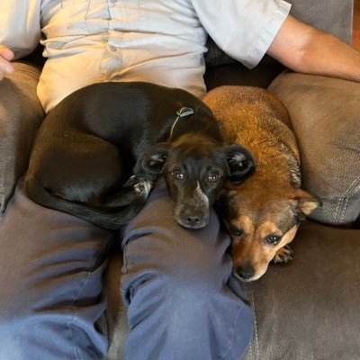 thom87731's profile picture. 