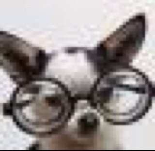 dhfl143's profile picture. Darla Hatton -- I am a speaker and writer on AT and LDs, a moderator, and reading specialist. My daughter and I created I Am Dyslexia, featured on our web site.