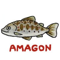 アマゴン／ずみT (@zumi_t) Twitter profile photo