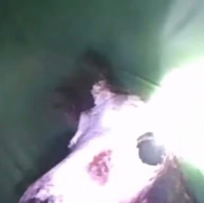 mattress_cover's profile picture. in this moment everything is perfect