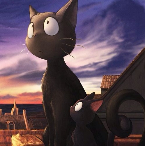 shagguer's profile picture. 사실이 모두 진실일순 없습니다