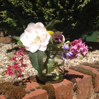 kapa_zed's profile picture. 