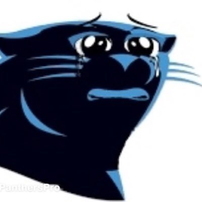 Distraught Panthers Fan