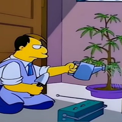 jerepist4's profile picture. 🍩 al estilo Max Power