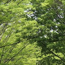 mootn0317's profile picture. あ