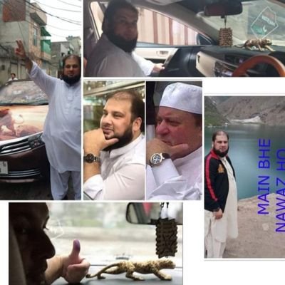 SheikhA1316102's profile picture. PMLN LAHORE 
FACE_BOOK_TEAM
ACTIVE MEMBER SMT PMLN