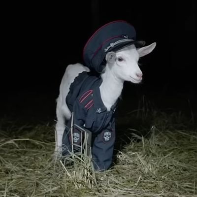 MdafkM7's profile picture. 