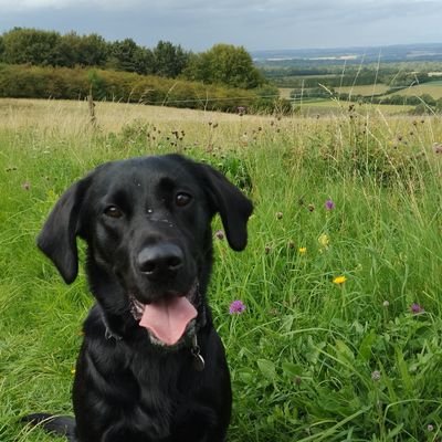 marionagadvisor's profile picture. Agri advisor passionate about soil health, food security, clean rivers and fresh air! All views are my own and not funded through STEPS!