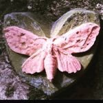 yakcLUISE's profile picture. �