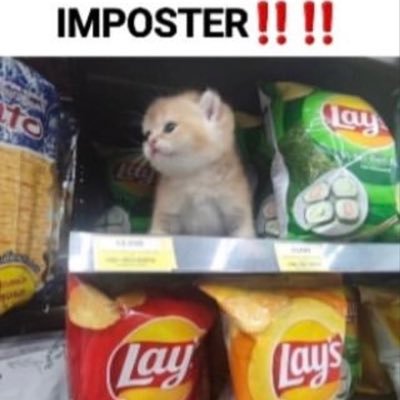 IMPOSTER!!!!