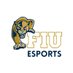 FIU Esports (@fiuesports) Twitter profile photo