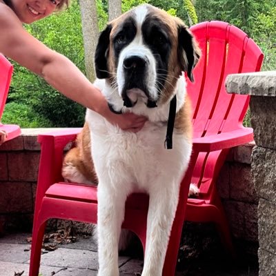 EveSygit's profile picture. bleep