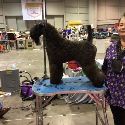 VirginiaHa92511's profile picture. 