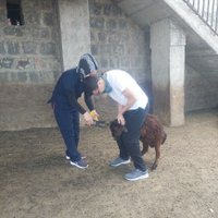 Vet. Hek. Gülnedime Akyüz (@vethek_g_akyuz) 's Twitter Profile Photo Vet. Hek. Gülnedime Akyüz (@vethek_g_akyuz) 's Twitter Profile Photo