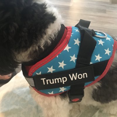 🇺🇸🇺🇸🇺🇸🐾❤️🇨🇳🐀💩