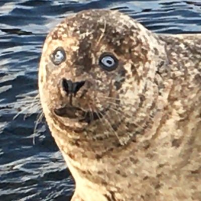 grastua's profile picture. https://t.co/tlWY4bGoRw