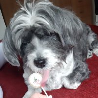 Luçy Douki§§a 🍷🍸🍹 (@doukaloukia) 's Twitter Profile