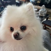 Tennessee Joe (@tennesseej78565) 's Twitter Profile Photo Tennessee Joe (@tennesseej78565) 's Twitter Profile Photo