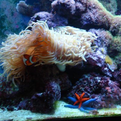 davmwj's profile picture. 