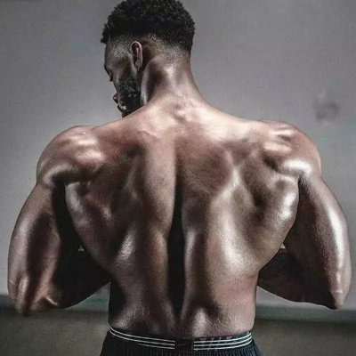 SenorMusculo Profile Picture