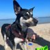 Ahri-Ministerin für Power(nudel) Energie 🐾 (@ahriausnein) Twitter profile photo Ahri-Ministerin für Power(nudel) Energie 🐾 (@ahriausnein) Twitter profile photo