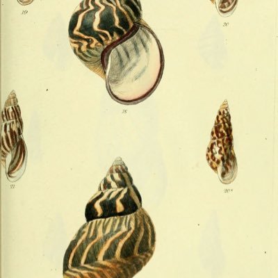 akupunkturalna's profile picture. 