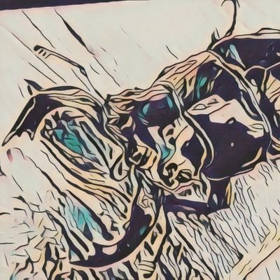 DH.ヘラクレス
ヘラクレスメテオ
ギラファノコギリ
スマトラヒラタ
レギウス
タランドゥ
ババオウゴンオニ
ニジイロ 青紋
グランディスコフキ
ムニスゼッチコフキ
フンボルトヒナカブト
ネパレンシスなどを
飼育してます。
よろしくお願いいたします。