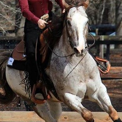 TaexasO11111's profile picture. 고생 끝에 낙이 온다