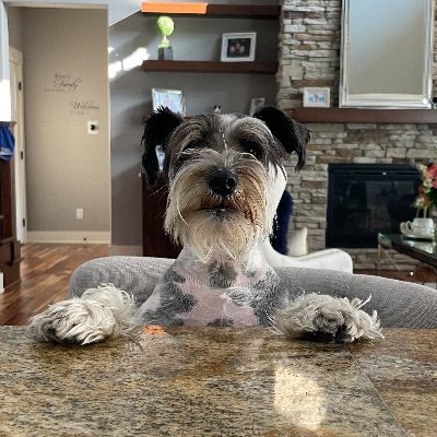 DonatelloBenito's profile picture. Long Live Mojito Man