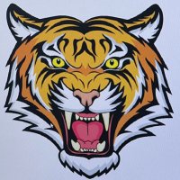 MHPSAS Tigers 🐅(@mhpsas_TIGERS) 's Twitter Profileg