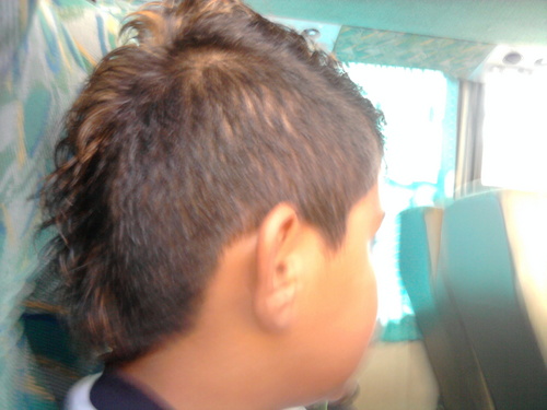 Renan_Xiruzinh's profile picture. Renan Araldi Pereira, 11 anos, filho de Comentarista Esportivo, sou Tricolor      de Coração e Cornetinha Mirim de Brusque para o Mundo.