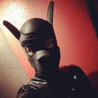 Masopup (@masopup1) 's Twitter Profile Photo