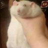 _gheee__'s profile picture. I think stuff then I post the stuff