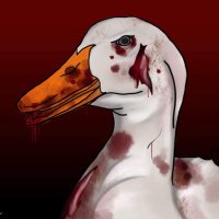 Hobo Ducks(@ducks_hobo) 's Twitter Profile Photo