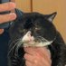 Lummer (@kolosskobold) Twitter profile photo Lummer (@kolosskobold) Twitter profile photo