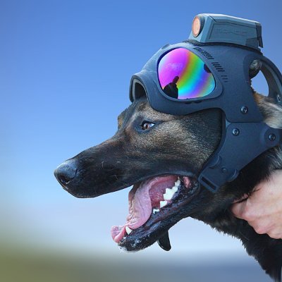 Inventor of the tactical working dog helmet