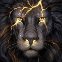 нɪℓαℓالقادح فخر الوطن (@h____a_q) 's Twitter Profile